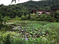-桃花岭景区