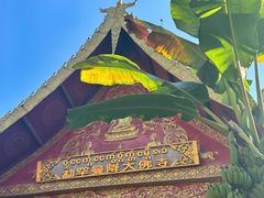 -西双版纳傣族园-曼春满佛寺