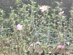 -石燕湖生态旅游景区