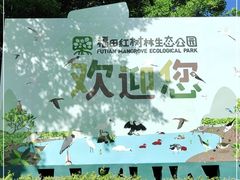 -福田红树林生态公园