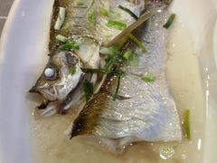 -古尚锦酒楼·水上餐厅