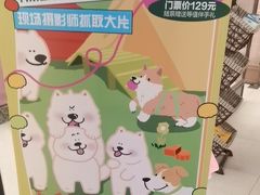-FAELING PETS美天灵宠物(富力广场店)