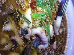 -巴特餐饮6加1音乐餐吧·新疆菜