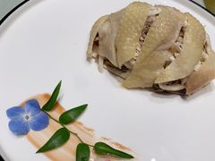 -蝶园·装修中(BFC外滩金融中心店)