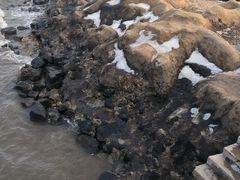 -黑石礁公园