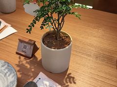 -CURRY YA 熟成咖哩專門店(深圳湾万象城店)