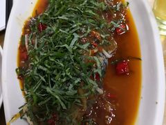 -老字号怡玺·藿香雅鱼(20年雅安店)