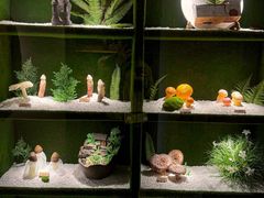 -慢丽江·云南野生菌土鸡锅(西山店)
