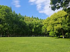 -范蠡湖公园