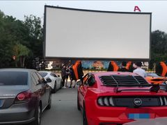 -枫花园汽车电影院(朝阳公园店)