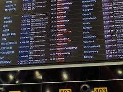 -谢列梅捷沃国际机场