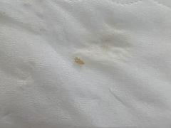 -大自然美食农庄(广州南站店)