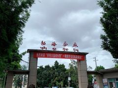 -大益茶庭(勐海会员中心店)