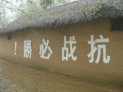 -微山湖红荷湿地景区