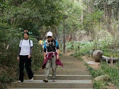 -杭州半山国家森林公园