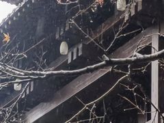 -香积寺