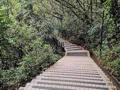 -广州市白云山风景名胜区