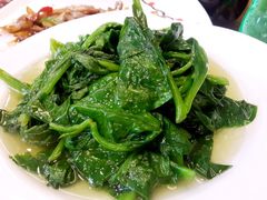 蔬菜-乌镇黄金水岸度假酒店