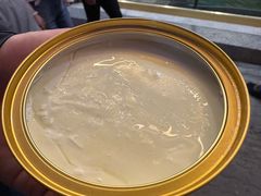 -德禄酸奶(莫家街店)