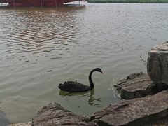-洛阳市隋唐城遗址植物园