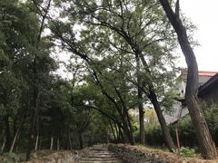 -阳台山自然风景区