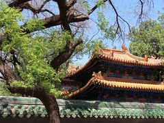 -北京国子监胡同