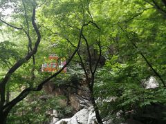 -北京上方山国家森林公园