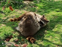 -南京金牛湖风景区