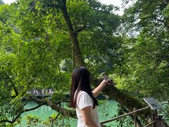 -小七孔景区-六十八级跌水瀑布