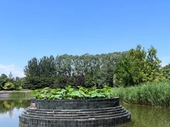 -大望京公园