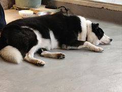 -深圳海边小筑客栈