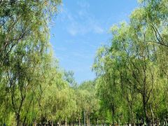 -东郊湿地公园