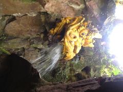 iphone_upload_pic-杭州黄龙洞