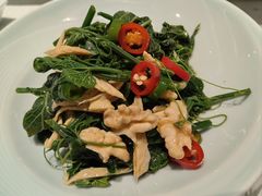 -峨嵋小镇·川菜(正定朗华店)