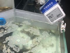 -盒马鲜生(莱蒙都会店)