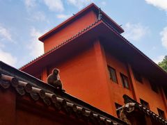 -黔灵山公园
