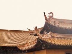 -普陀山风景名胜区-法雨禅寺