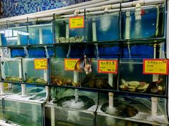 -蚝专家(北滘店)