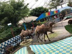 -百万葵园