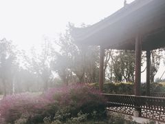 -白鹭湾湿地公园