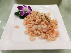 -楼外楼·停车场