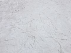 -太子岭滑雪场