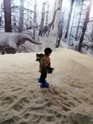 -恐龙探索乐园(磁器口店)