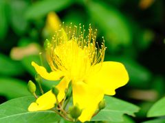 -台州府城(东湖)