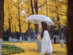 -重庆市江北嘴中央商务区中央公园