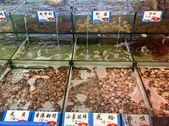 -民丰饭店(海丰黄江医院西)
