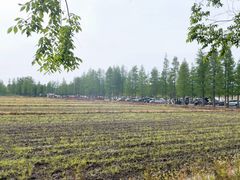 -广富林郊野公园
