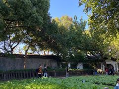 -绍兴鲁迅故里·沈园景区