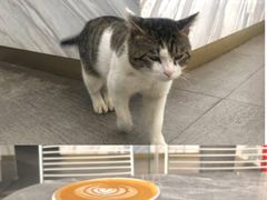 -UNI UNI(环亚凯瑟琳店)