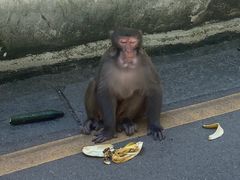 -黔灵山公园